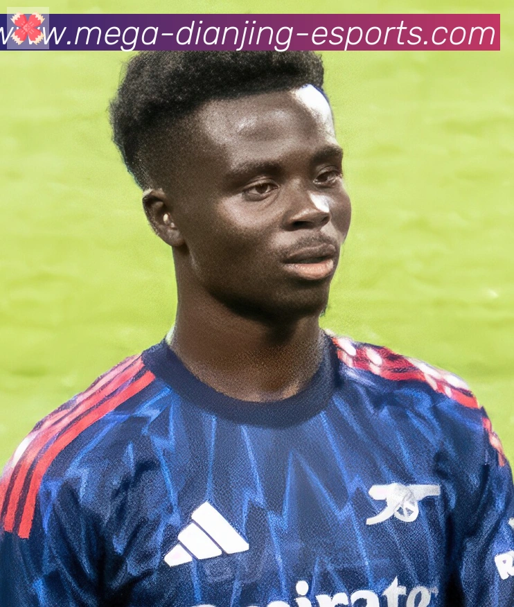维尼修斯